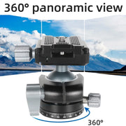 BEXIN RC254+LH-28 Carbon Fiber Portable Folding Tripod SLR Camera Low Gravity Center Gimbal Photography Bracket
