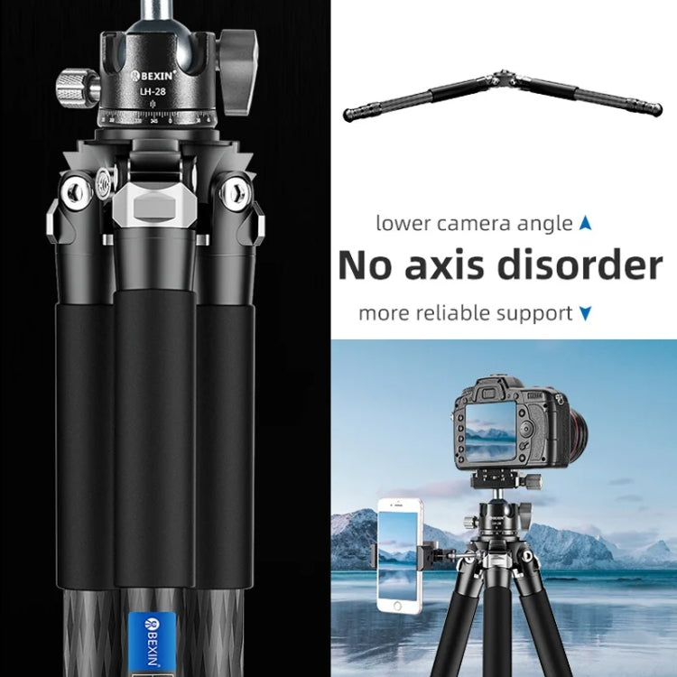 BEXIN RC254+LH-28 Carbon Fiber Portable Folding Tripod SLR Camera Low Gravity Center Gimbal Photography Bracket