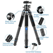 BEXIN RC254+LH-28 Carbon Fiber Portable Folding Tripod SLR Camera Low Gravity Center Gimbal Photography Bracket