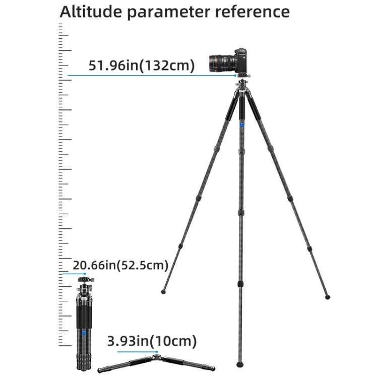 BEXIN RC254 Carbon Fiber Portable Folding Tripod SLR Camera Low Gravity Center Gimbal Photography Bracket
