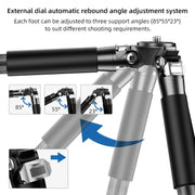 BEXIN RC254 Carbon Fiber Portable Folding Tripod SLR Camera Low Gravity Center Gimbal Photography Bracket