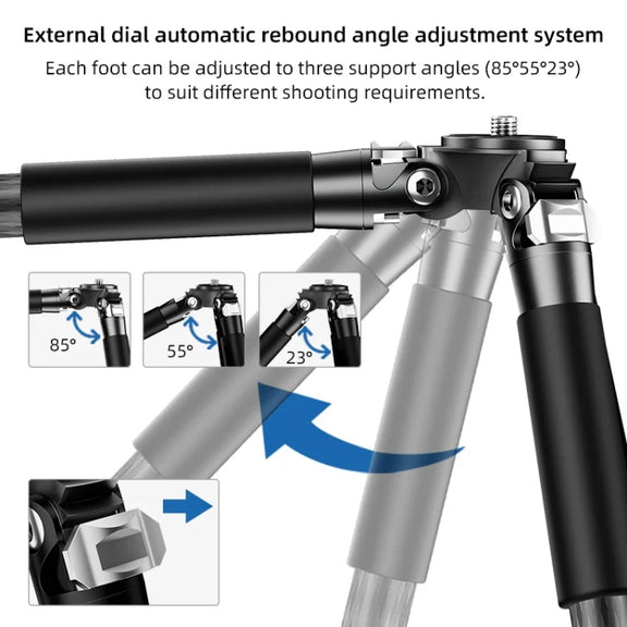 BEXIN RC254+LH-28 Carbon Fiber Portable Folding Tripod SLR Camera Low Gravity Center Gimbal Photography Bracket