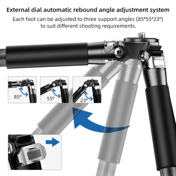 BEXIN RC254+LH-28 Carbon Fiber Portable Folding Tripod SLR Camera Low Gravity Center Gimbal Photography Bracket