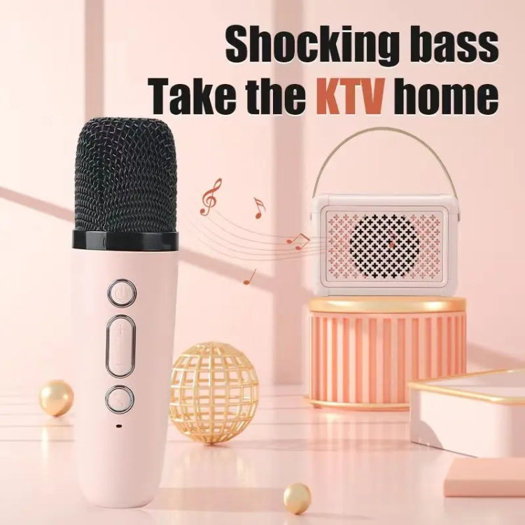 Portable Bluetooth Speaker Home Mini Karaoke Audio, Style: Dual-Microphone+Speaker(Pink) - Mini Speaker by PMC TechLife | Online Shopping South Africa | PMC TechLife