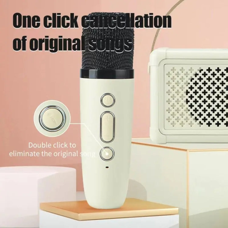 Portable Bluetooth Speaker Home Mini Karaoke Audio, Style: Dual-Microphone+Speaker(Pink) - Mini Speaker by PMC TechLife | Online Shopping South Africa | PMC TechLife