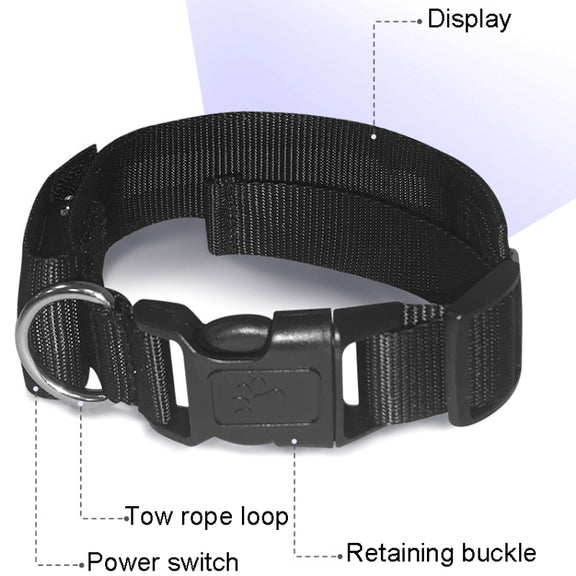 LED Display Pet Collar Rechargeable High Visibility DIY Single Color Collar(Blue)