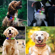 LED Display Pet Collar Rechargeable High Visibility DIY Single Color Collar(Blue)