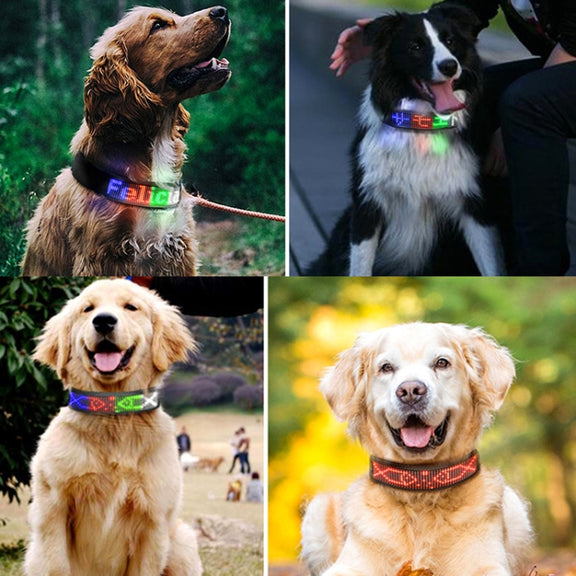 LED Display Pet Collar Rechargeable High Visibility DIY Single Color Collar(Blue)