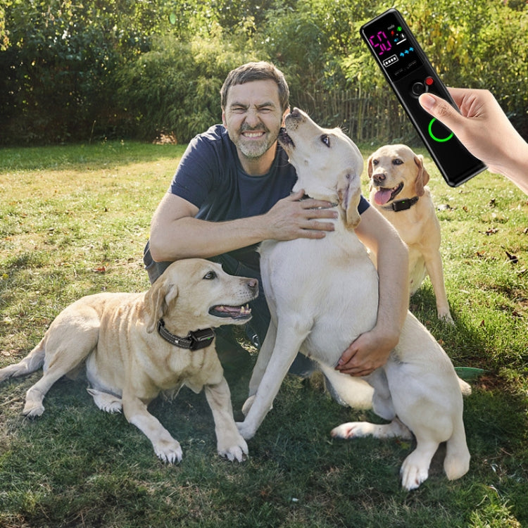 Ordinary Screen Remote Control Pet Electric Shock Circular Dog Trainer(Black) - Training Aids by PMC TechLife | Online Shopping South Africa | PMC TechLife | Buy Now Pay Later Mobicred