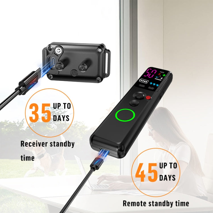 Ordinary Screen Remote Control Pet Electric Shock Circular Dog Trainer(Black) - Training Aids by PMC TechLife | Online Shopping South Africa | PMC TechLife | Buy Now Pay Later Mobicred