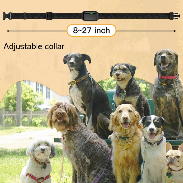 Color Screen Dragon Two Remote Control Pet Electric Shock Circular Dog Trainer(Black) - Training Aids by PMC TechLife | Online Shopping South Africa | PMC TechLife | Buy Now Pay Later Mobicred