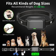 Color Screen Remote Control Pet Electric Shock Circular Dog Trainer(Black)