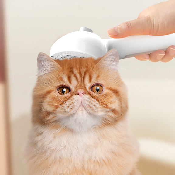RK56 USB Charging Spray Pet Grooming Comb Cat and Dog Hair Removal Tool Pet Products(White)