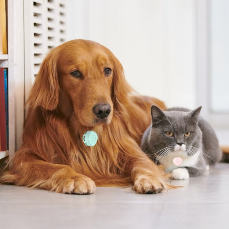 For Samsung Galaxy SmartTag Positioning Tracker Life Waterproof Silicone Protective Case(Black) - SmartTag Accessories by PMC TechLife | Online Shopping South Africa | PMC TechLife