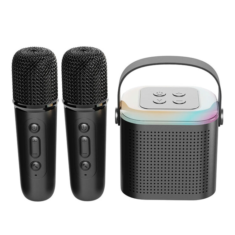 Home Portable Bluetooth Speaker Small Outdoor Karaoke Audio, Color: Y1 Black(Double wheat) - Microphone by PMC TechLife | Online Shopping South Africa | PMC TechLife | Buy Now Pay Later Mobicred