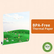 Phomemo 4rolls /Box A4 Writing Quick-Drying Thermal Paper 10-Year Long-Lasting For M832 / M833 / M834 / M835 Printer