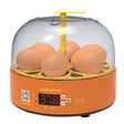 6-Eggs Small Household Experimental Children Smart Chicken Incubators, Spec: Manual AU Plug - Incubators by PMC TechLife | Online Shopping South Africa | PMC TechLife