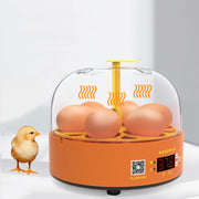 6-Eggs Small Household Experimental Children Smart Chicken Incubators, Spec: Automatic US Plug