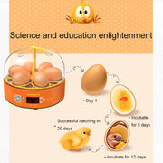 6-Eggs Small Household Experimental Children Smart Chicken Incubators, Spec: Automatic US Plug