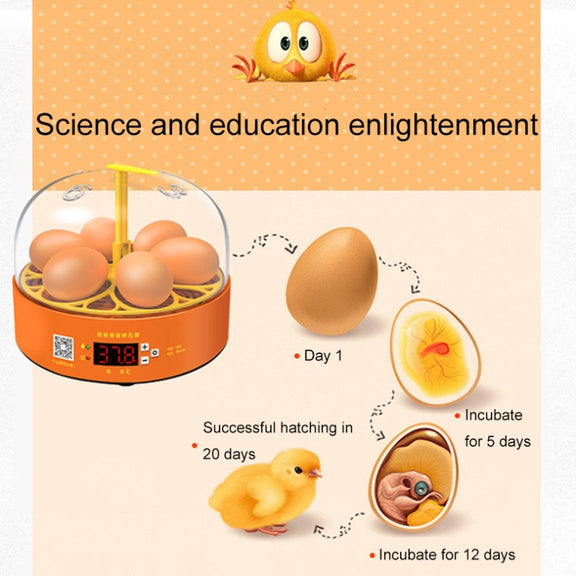 6-Eggs Small Household Experimental Children Smart Chicken Incubators, Spec: Automatic US Plug