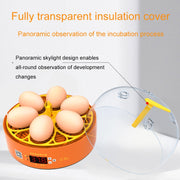 6-Eggs Small Household Experimental Children Smart Chicken Incubators, Spec: Automatic US Plug
