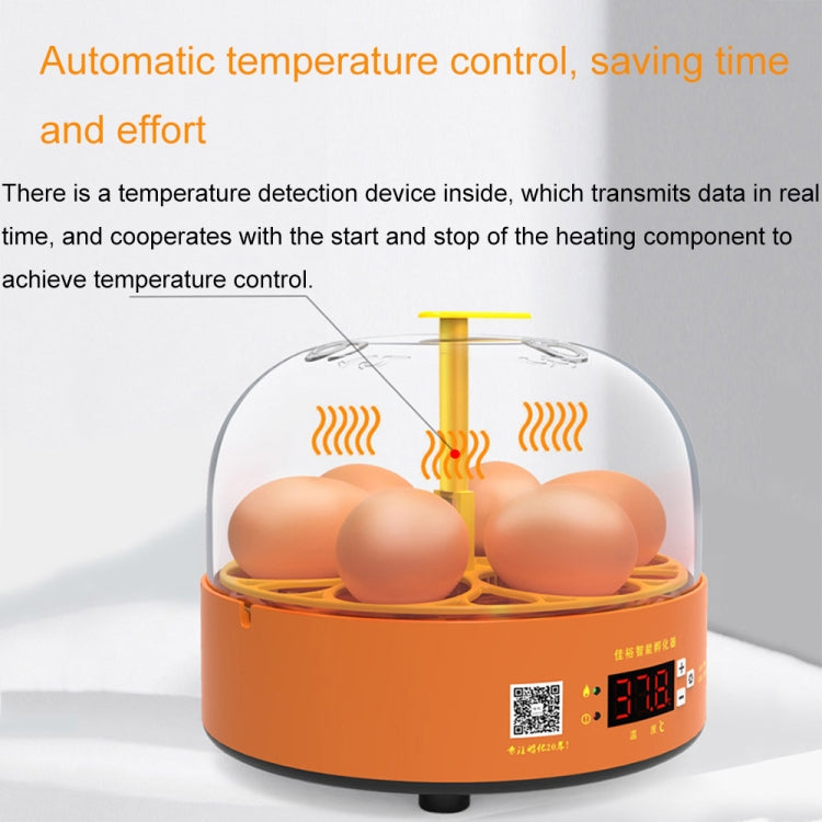 6-Eggs Small Household Experimental Children Smart Chicken Incubators, Spec: Automatic UK Plug - Incubators by PMC TechLife | Online Shopping South Africa | PMC TechLife