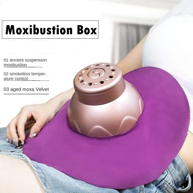 Portable Moxibustion Box Waist Abdomen Moxibustion Equipment(Pink) - Cupping & Moxibustion by PMC TechLife | Online Shopping South Africa | PMC TechLife | Buy Now Pay Later Mobicred