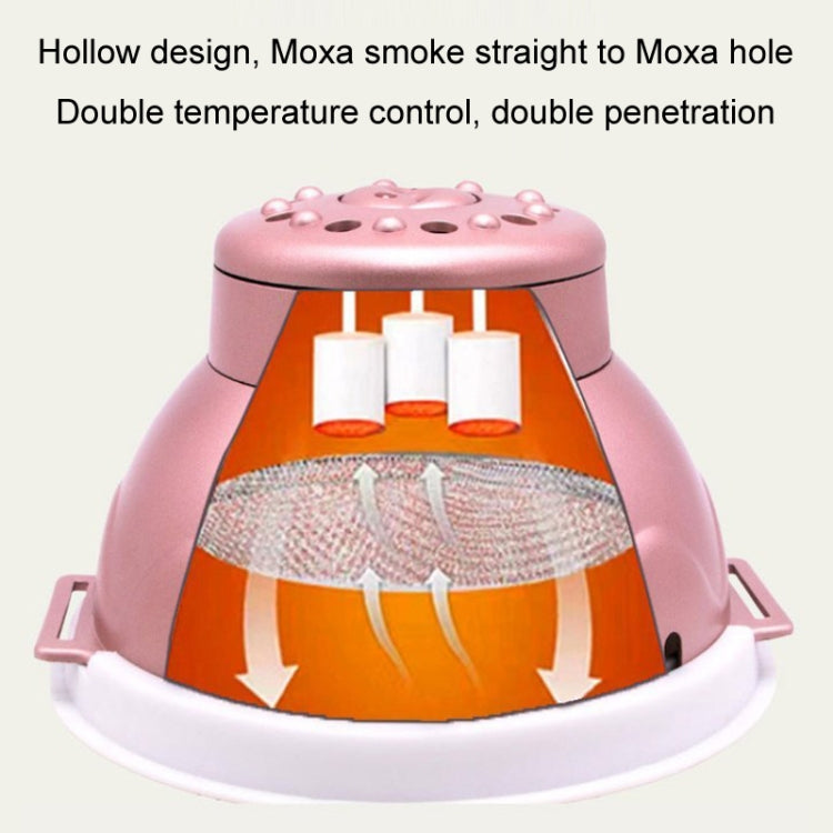 Portable Moxibustion Box Waist Abdomen Moxibustion Equipment(Pink) - Cupping & Moxibustion by PMC TechLife | Online Shopping South Africa | PMC TechLife | Buy Now Pay Later Mobicred