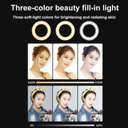YRing48 4-Inch 48LEDs Laptop Camera Video Conference Live Beauty Ring Fill Light, Spec: Clip with Tripod