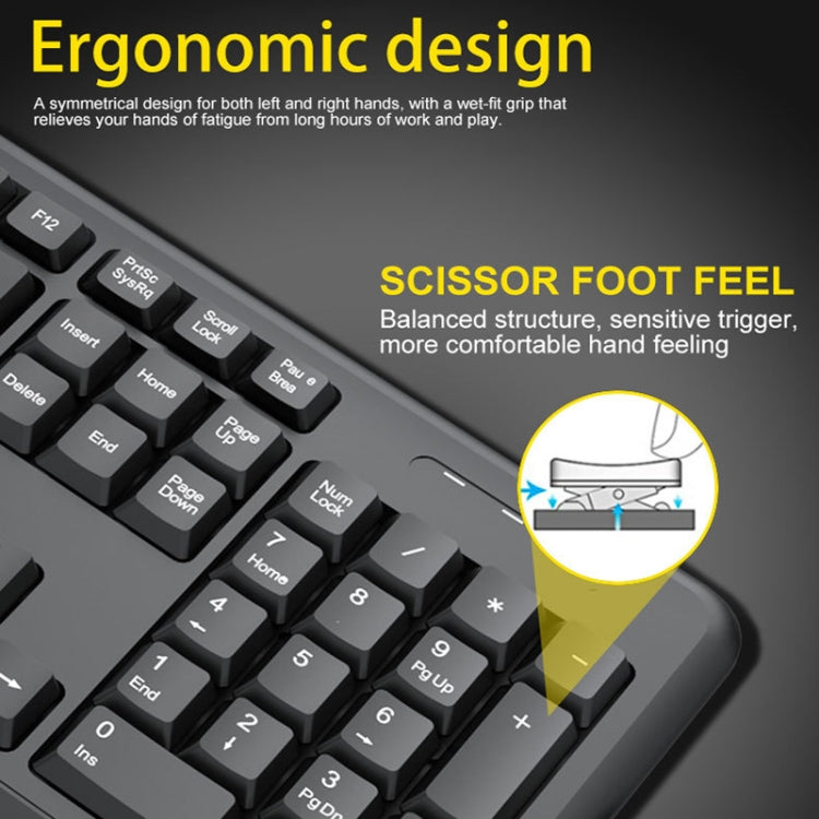 T-WOLF TF-100 2.4G Bluetooth Laptop Office Wireless Keyboard and Mouse Set(Set) - free shipping - PMC Jewellery - Order now!