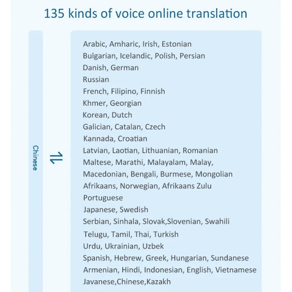 Hishell P40 Smart Translator 135 Languages Voice Intelligent Online Translation Machine Offline Multilanguage Speech Translate(Black)