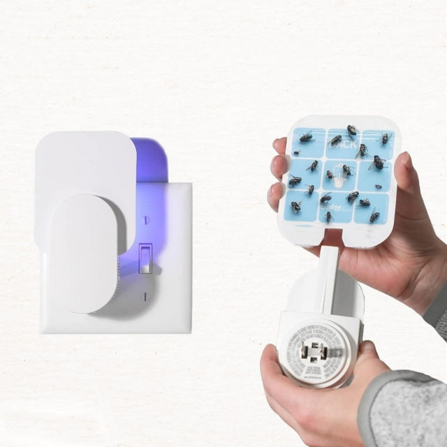 Plug-In Refillable Fly Trap For Flies, Moths, Gnats, And Other Flying Insects With 2 Glue Cards US Plug(White)