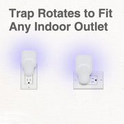 Plug-In Refillable Fly Trap For Flies, Moths, Gnats, And Other Flying Insects With 2 Glue Cards US Plug(White)
