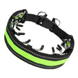 Pet Training Stimulating Chain Collar Anti-Burst Punch Dog Corral, Size: XL(Grass Green) - Collars by PMC TechLife | Online Shopping South Africa | PMC TechLife | Buy Now Pay Later Mobicred