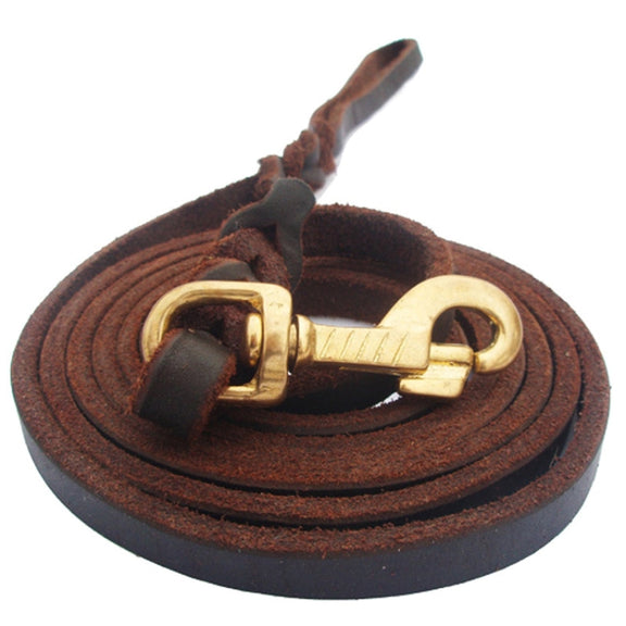 1.2 x 200cm Pet Outing Cowhide Towing Leash Dog Training Harness(Bronze Hook)