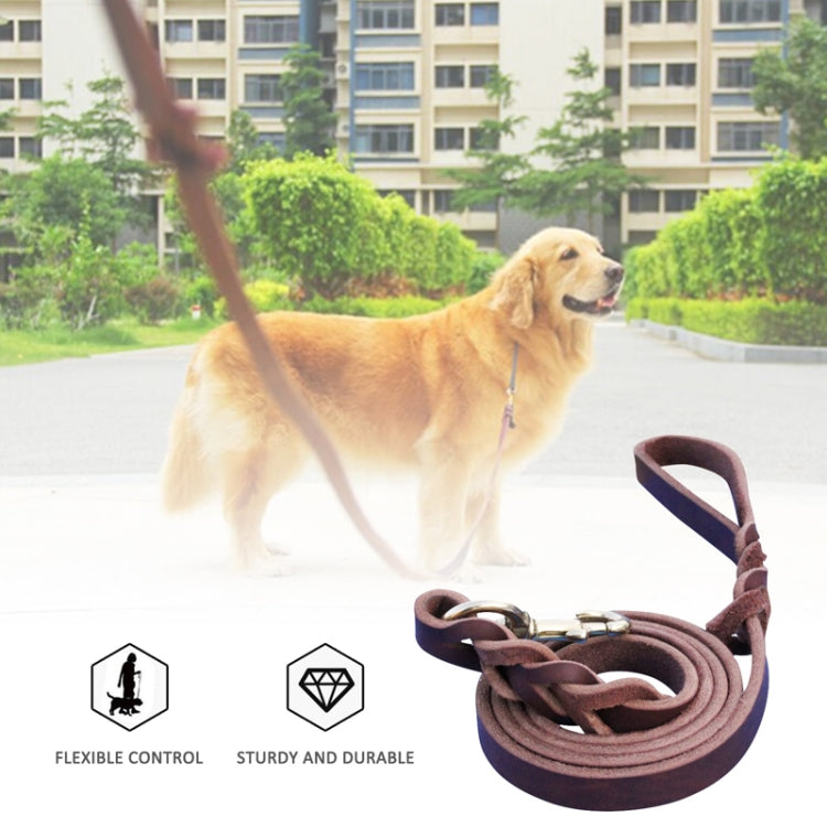 1.2 x 300cm Pet Outing Cowhide Towing Leash Dog Training Harness(Bronze Hook)