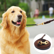 1.2 x 200cm Pet Outing Cowhide Towing Leash Dog Training Harness(Bronze Hook)
