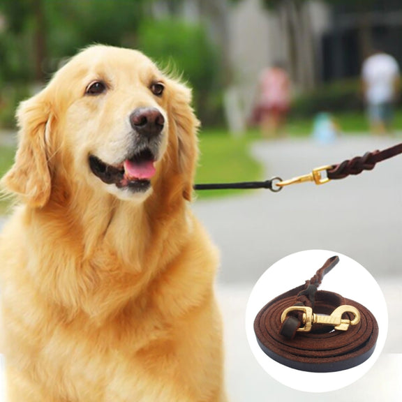 1.2 x 300cm Pet Outing Cowhide Towing Leash Dog Training Harness(Iron Hook)