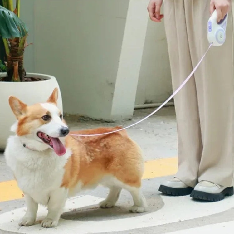 LED Light Luminous Pet Dog Leash Automatic Retractable Dog Walking Leash, Color: 3m Purple