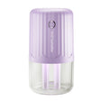 T06 Large-Capacity Atmosphere Night Light Household Dual Spray Air Humidifier, Color: Purple Plug-in - free shipping - PMC TechLife - Order now!