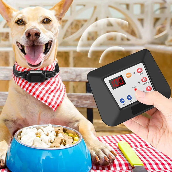 1 Drag 1 Pet Electronic Fence Wireless Dog Trainer Smart Electric Shock Dog Collar(Black)
