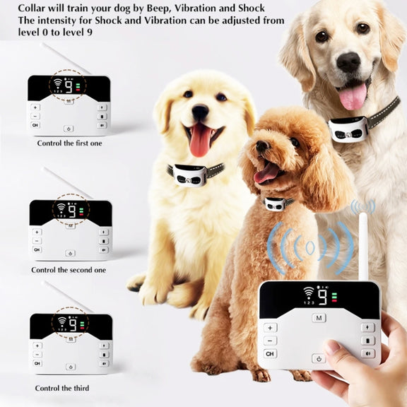 1 Drag 1 Pet Electronic Fence Wireless Stop Barker Outdoor Dog Collar Remote Control Dog Trainer(Gold)
