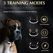 1 Drag 2 Pet Electronic Fence Wireless Stop Barker Outdoor Dog Collar Remote Control Dog Trainer(Gold)