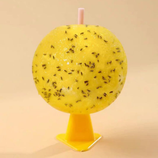 8cm Indoor Fruit Fly Ball With Core Insect Attractant Sticky Ball - Traps by PMC Jewellery | Online Shopping South Africa | PMC Jewellery | Buy Now Pay Later Mobicred