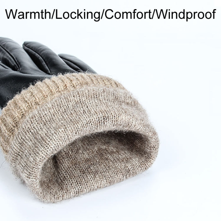 Autumn And Winter Padded Leather Gloves Business Simple Outdoor Sports Warm Gloves, Size: XL(Brown) - Full Finger Gloves by PMC TechLife | Online Shopping South Africa | PMC TechLife | Buy Now Pay Later Mobicred