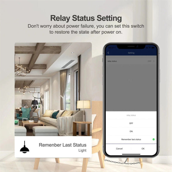 2CH WiFi Smart Switch Module For Alexa / Google Home / Tuya Smart Life APP