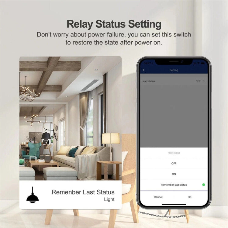 2CH WiFi Smart Switch Module For Alexa / Google Home / Tuya Smart Life APP