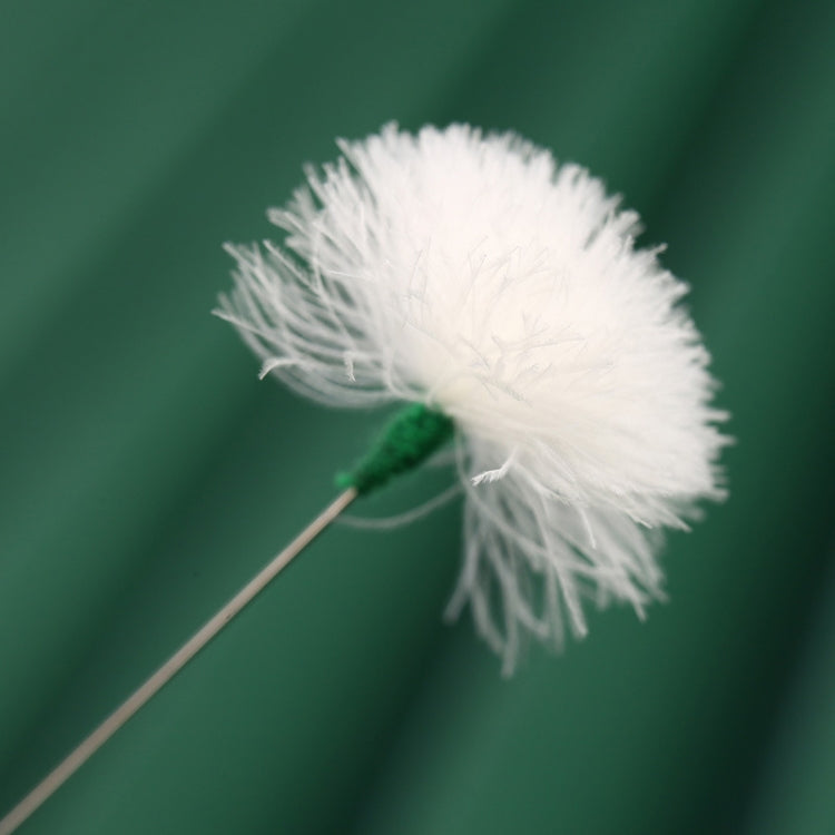 2pcs Medium Heads Silver Needle Goose Quill Stick Ear Picking Tool - free shipping - PMC TechLife - Order now!