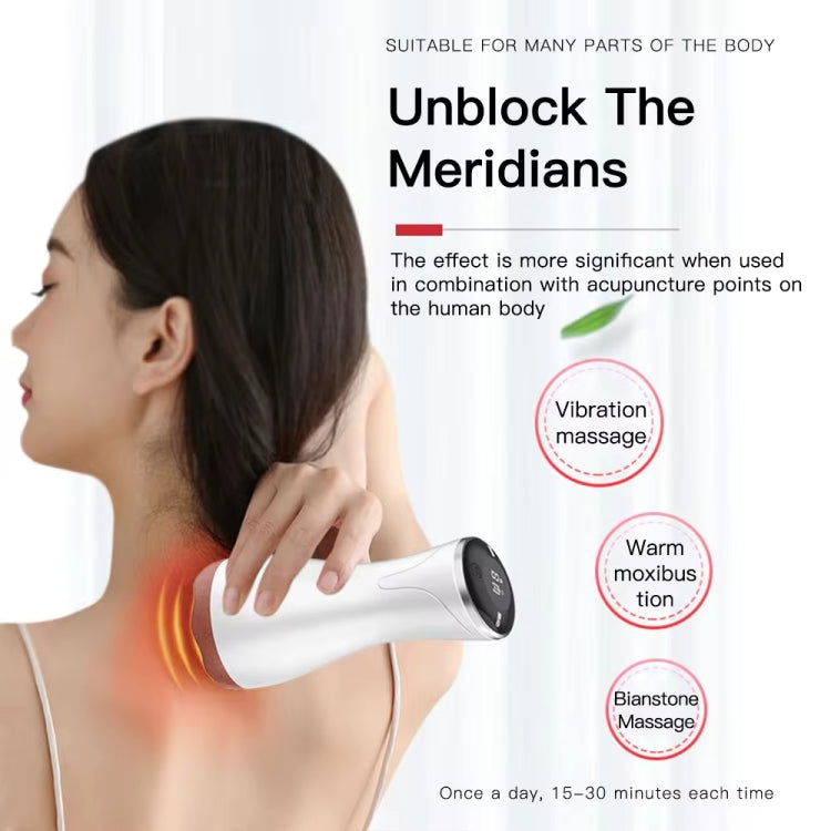 Acupuncture Stone Electric Hot Compress Vibrating Massager Whole Body Universal 9-speed Adjustable Gua Sha Apparatus(Black) - free shipping - PMC TechLife - Order now!