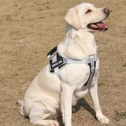 Large Dog Explosion Proof Punch Chest Harness Dog Travelling Leash, Style: Red+1.5m Round Rope(M)